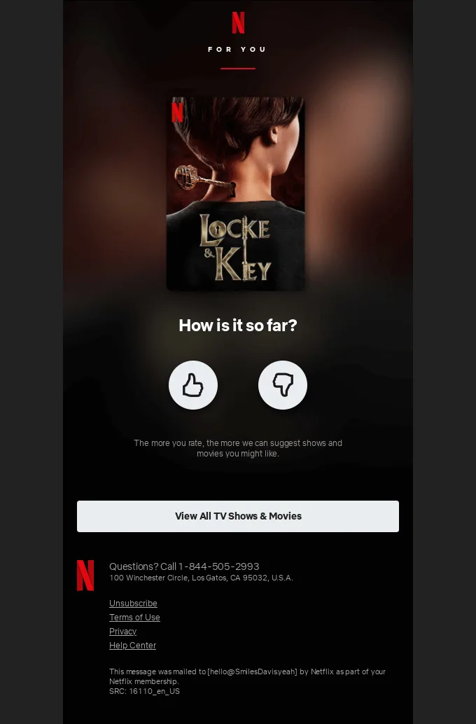 ความคิดเห็นของลูกค้า - ตัวอย่างอีเมลส่วนบุคคลจาก Netflix