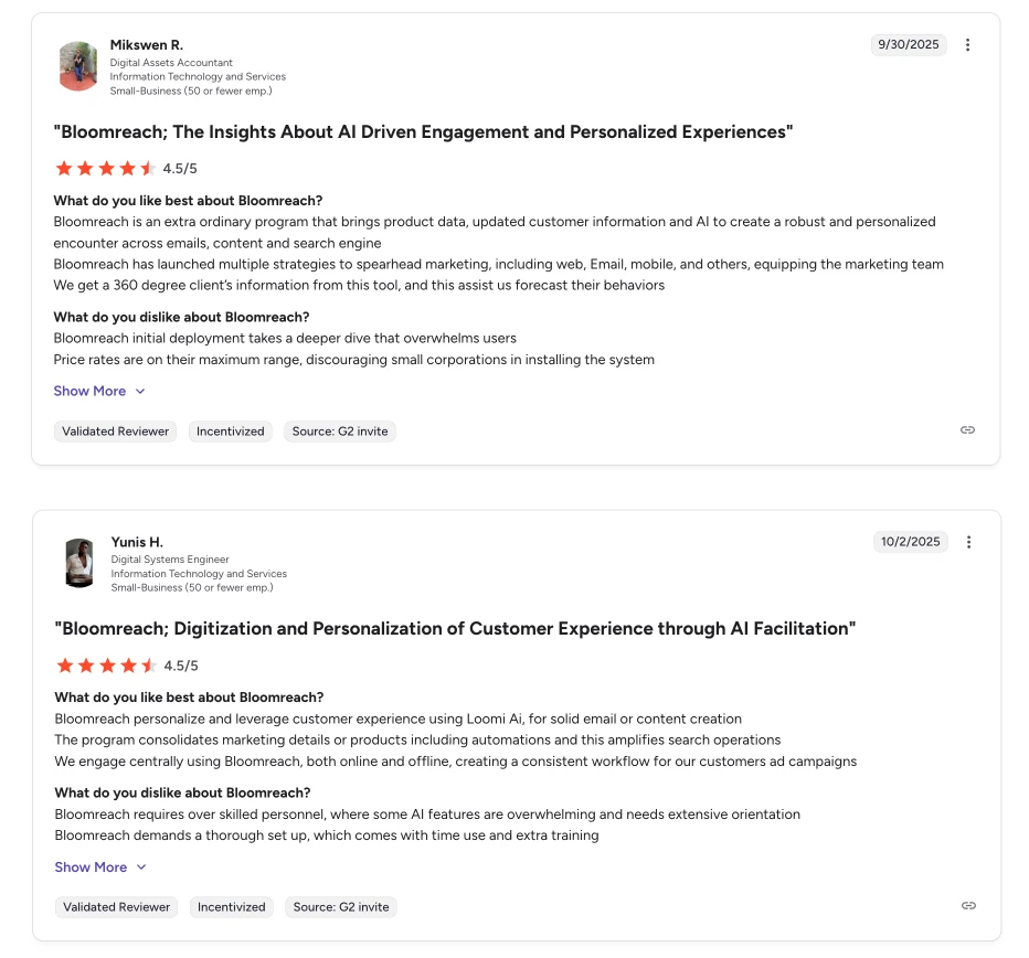 Bloomreach customer engagement tool review