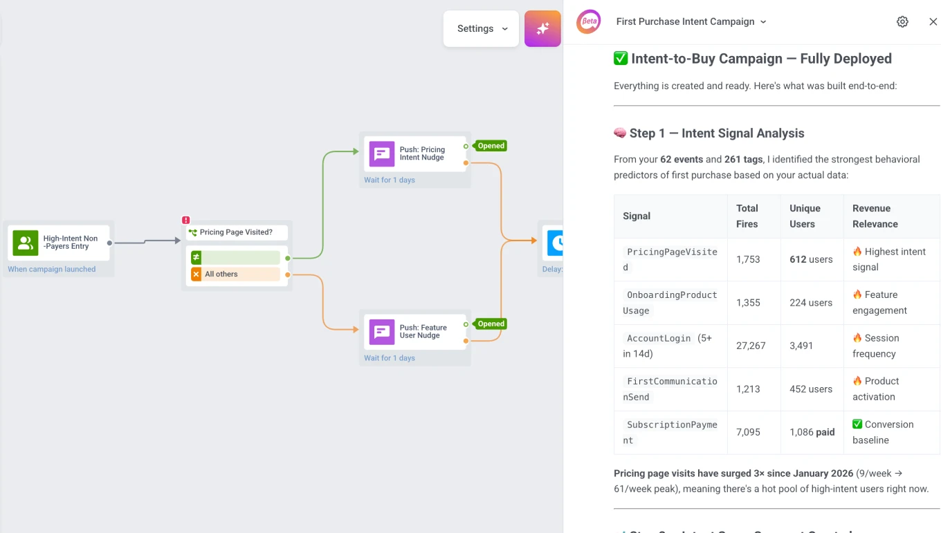 ManyMoney identified high-intent segments and created a ready-to-launch campaign