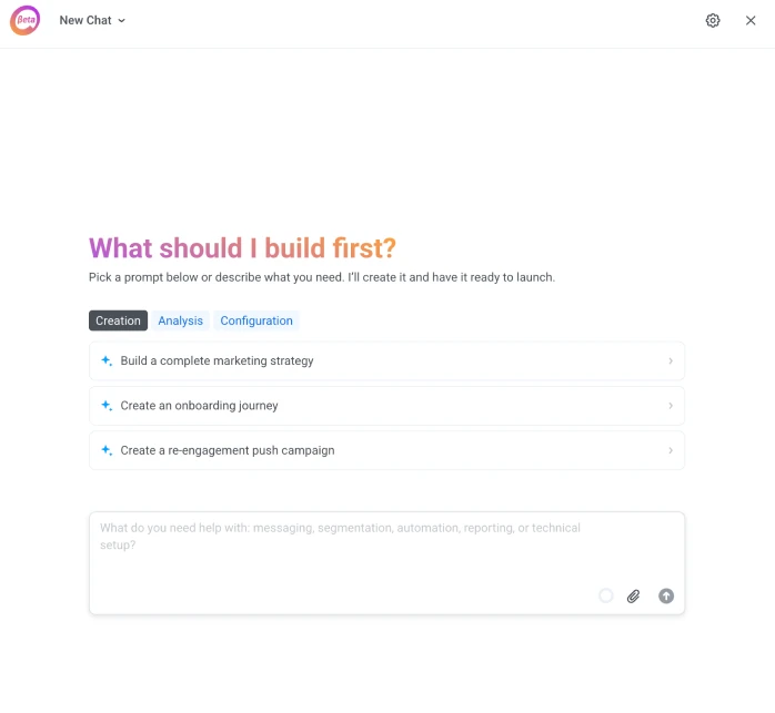 ManyMoney AI marketing copilot interface