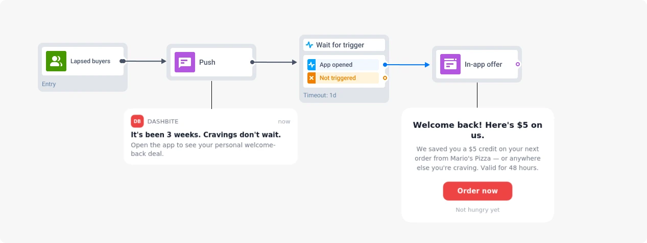 Push and in-app message combo re-engaging dormant spenders and converting them on app open