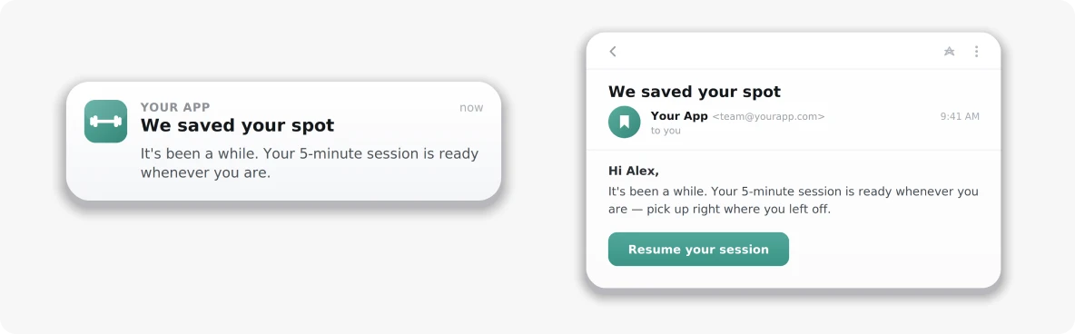 Win-back campaign delivered across push and email per user