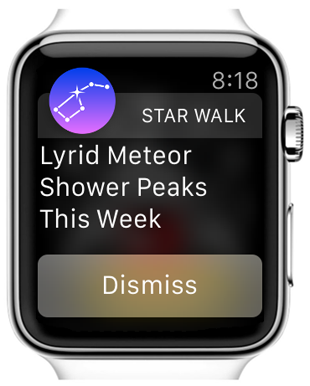 Google chrome apple watch shop